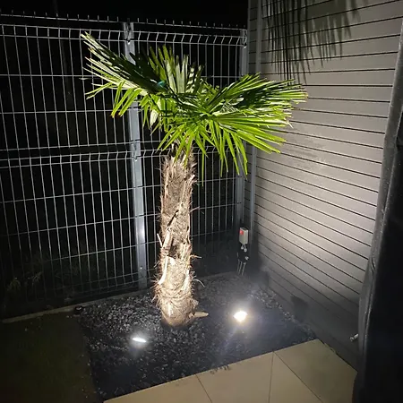 Waikiki House With Jacuzzi *