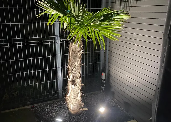 Waikiki House With Jacuzzi *